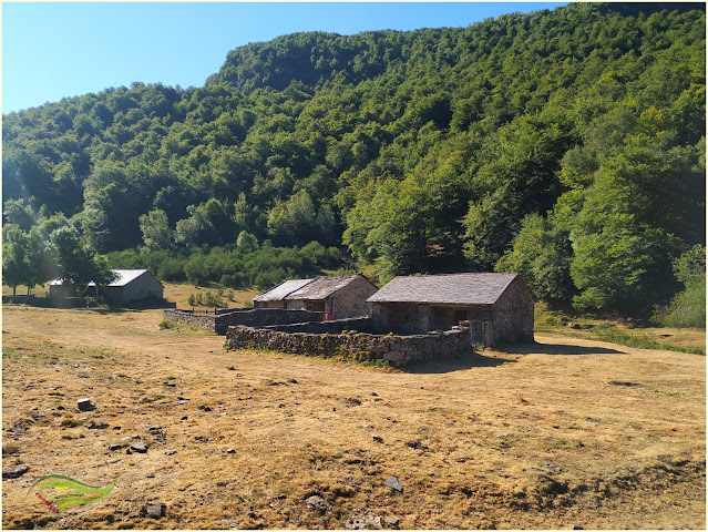 Bosque de Hermu (Hayedo del Monasterio de Hermo). ¡El mayor hayedo de Asturias!