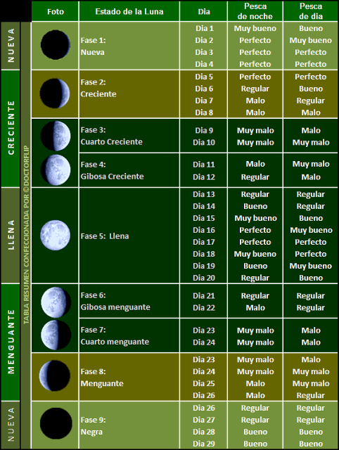 Importancia-mejor-luna-pesca-mareas