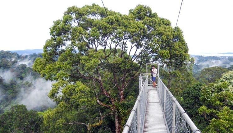  Sebutkan  Bentuk Pariwisata Yang Berada Di  Negara Brunei  