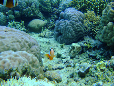 Bunaken Marine Park