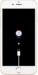 connect iphone to iTunes