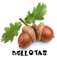 http://manualidadesreciclajes.blogspot.com.es/2017/12/manualidades-con-bellotas.html