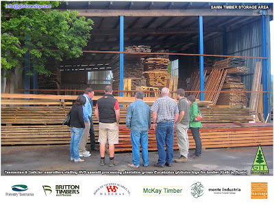 Galician Eucalyptus Globulus Sawn Timber Slabs and Planks / Tasmanian timber industry visits High Value Eucalyptus plantations, Eucalyptus sawmills and Mussel Acquaculture industrial Bateas in Galicia / Forestry Tasmania technical visit to Galicia / Forestry Tasmania, McKay Timber and Britton Timbers visit Galician HVS - Hijos de Vicente Suarez Eucalyptus globulus sawmill / Tabla y Tablon de Eucalipto de Galicia / Industria forestal de Tasmania visita plantaciones, aserraderos e industria acuicola del mejillon de batea de Galicia / Visita tecnica de Forestry Tasmania a Galicia / Industrilaes del aserrio de Australia McKay Timber y Britton Timbers visitan aserradero de eucalipto de HVS - Hijos de Vicente Suarez / GIT Forestry Consulting SL / Gustavo Iglesias Trabado, Roberto Carballeira Tenreiro and Javier Folgueira Lozano / GIT Forestry Consulting SL, Consultoría y Servicios de Ingeniería Agroforestal, Lugo, Galicia, España, Spain / Eucalyptologics, information resources on Eucalyptus cultivation around the world / Eucalyptologics, recursos de informacion sobre el cultivo del eucalipto en el mundo