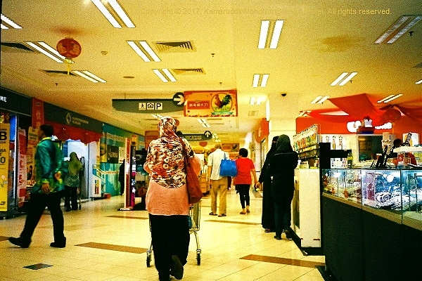 Olympus XA1, Analog Diary, Soft, Sharp, and Saturated 03