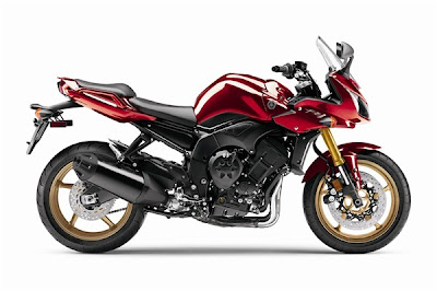 2010 Yamaha FZ1 Image