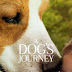 ตัวอย่างหนัง A Dog's Journey หมา เป้าหมาย และเด็กชายของผม 2