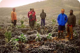 BMKG akan Periksa Fenomena Hujan Es di Agandugume