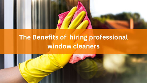 professional window cleaners cleaning the window