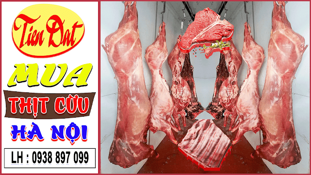 Mua thịt cừu tươi tại Hà Nội uy tín đảm bảo giá tốt