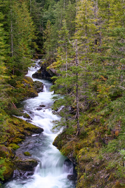 Olympic Peninsula, Jefferson Creek, 2013 Dagger Mamba 8.6, Carnage, Kayaking, Creeking, Hamma Hamma Falls