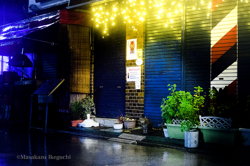 東京猫色 雨宿り