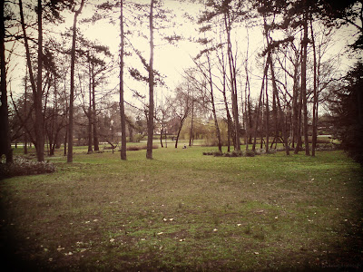 foto, u novom sadu, park, priroda, piknik