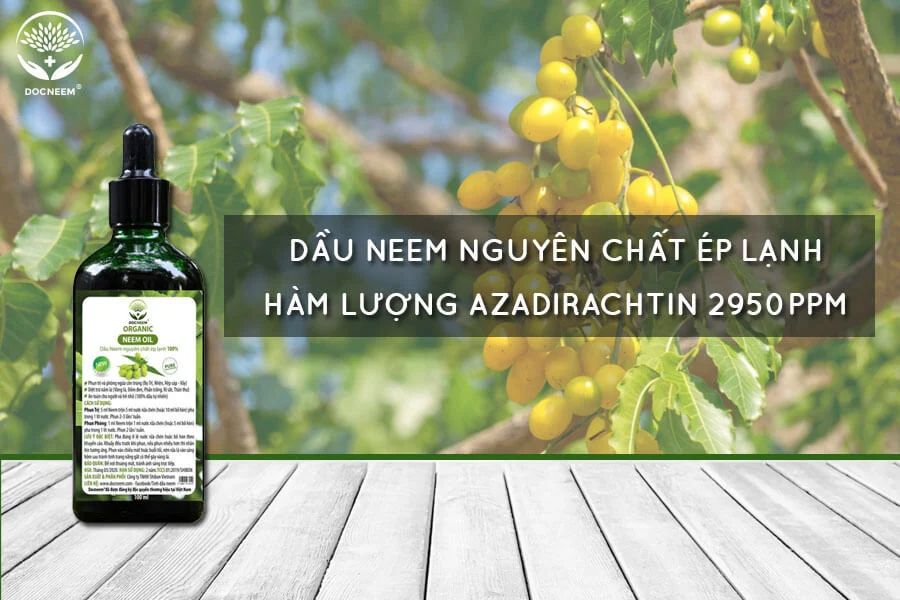 Docneem là sản phẩm tinh dầu Neem có hàm lượng Azadirachtin cao nhất thị trường