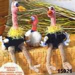 patron gratis avestruz amigurumi, free pattern amigurumi ostrich 