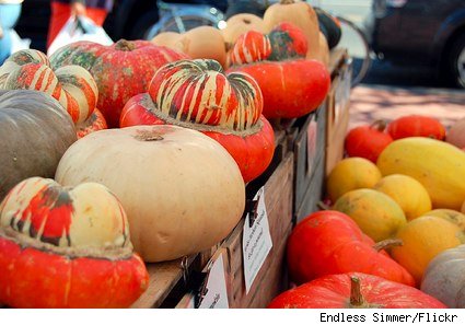 Autumn Gourds