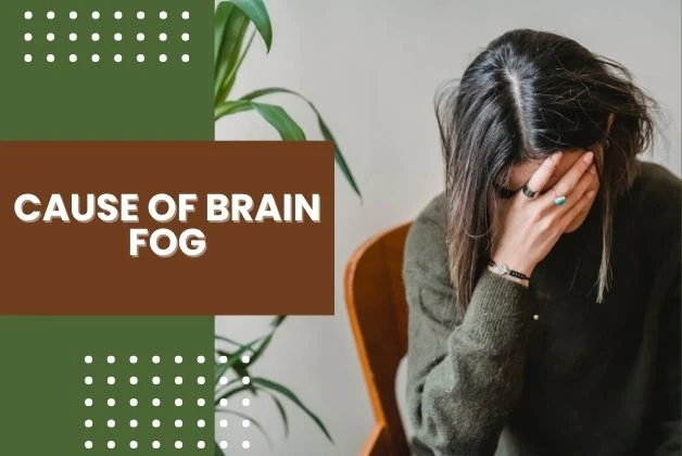 Cause of Brain Fog - A woman experiencing brain fog, with the overlay text "Cause of Brain Fog."