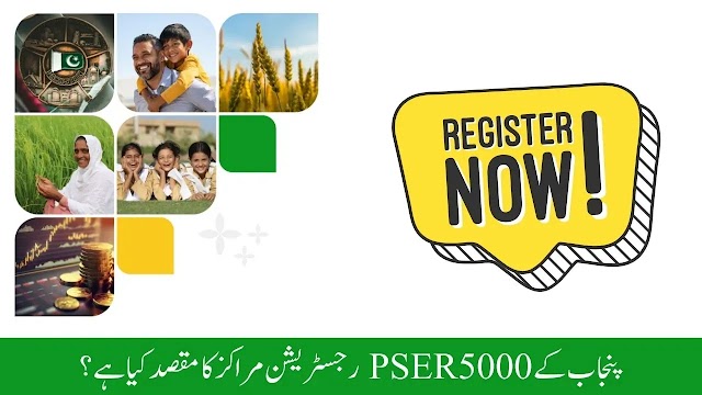 How do you fill out the Online Form in the 8171 PSER Survey?