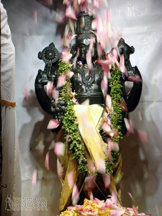 Bathing Lord Balaji with Flowers - Photo 1