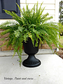 Vintage, Paint and more.. Boston fern in an upcycled urn