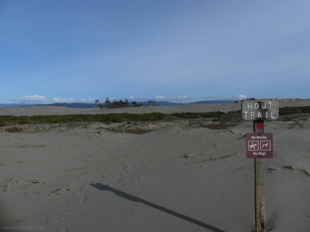 36: sign and sand