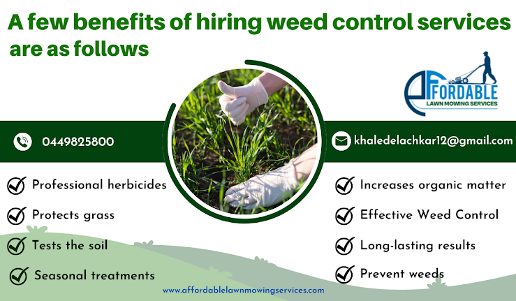 A few benefits of hiring weed control services are as follows: