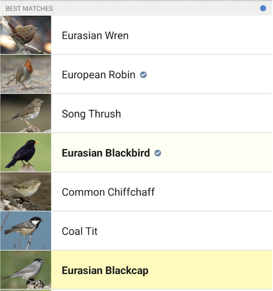 The list of birds identified with the free Merlin app