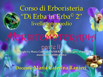 Docente del Corso di Erboristeria “Di Erba in Erba©” Cromoterapeuta - Cromoestetica Floriterapeuta Mediterranea - esperta di Cosmesi naturale personalizzata, Consulente naturopata - vasta esperienza anche con bimbi e anziani -  Istruttrice di “Tai Chi Chuan” http://dierbainerba.blogspot.it - © Maria Caterina Ranieri – all rights reserved ॐ