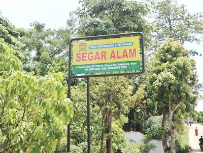 rekomendasi toko pot, tanaman, peralatan berkebun di citayam tajur halang kabupaten bogor