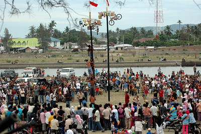  Khasiat dan Kegunaan Buah Pohon Pinang