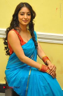 Telugu Actress Vaibhavi Stills in Blue Saree at Www.Meena Bazaar Movie Opening  0064.JPG