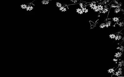 احلى الصور اطار أسود خلفية زهور