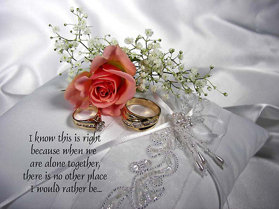 Wedding Quotes And Greeting Cards. QuotesGram