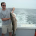 Capt. Bob Maier Welcomes You Aboard The Elizabeth