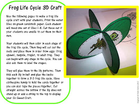 life cycle of a frog craft