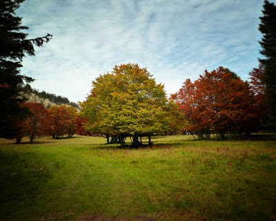 photo vercors automne moliere