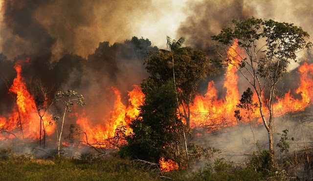 Bomberos tratan de controlar incendios forestales en cuatro municipios de Boyacá