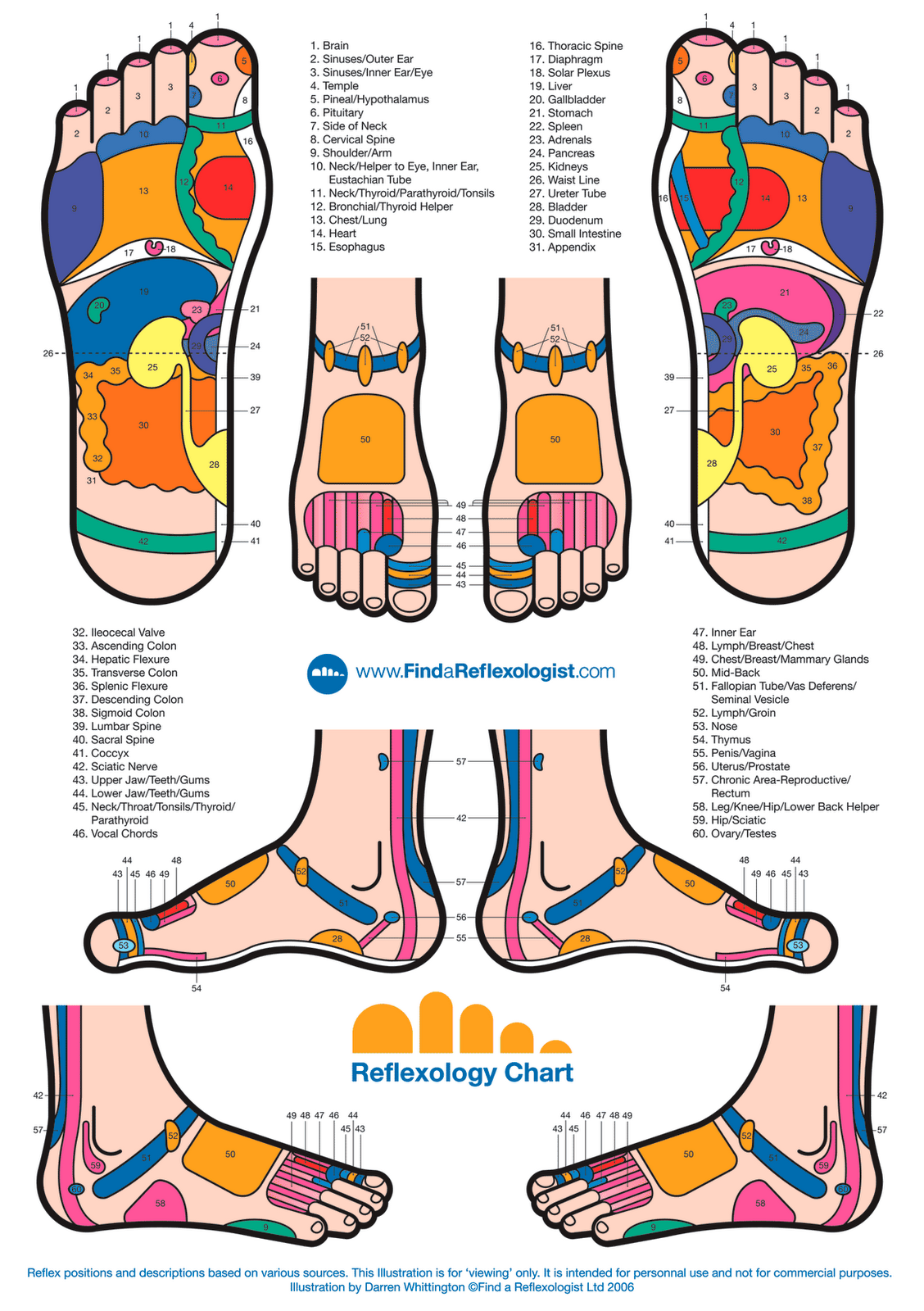 Kumpulan Gambar Titik Rekleksi Kaki Dan Tangan - MazMuiz