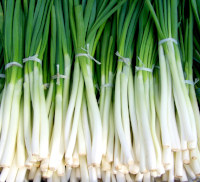 green-onion-spring-onions-vegetables