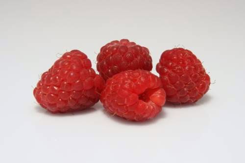  Fototapete Himbeeren