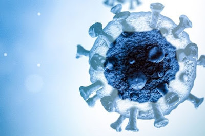 All what we know so far about the 48,500 Year Old ‘Zombie Virus’ Discovered trapped In Ice - A2satsBlog