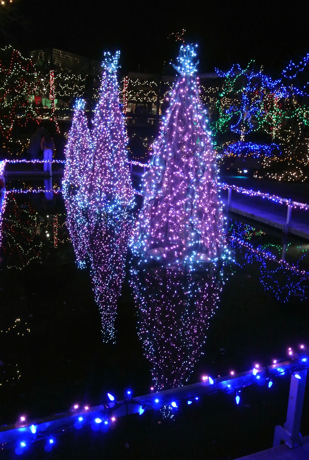 vivian - in stitches: Christmas Lights, Van Dusen Gardens