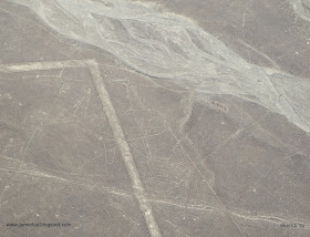 Killer Whale, Nazca Lines, Peru
