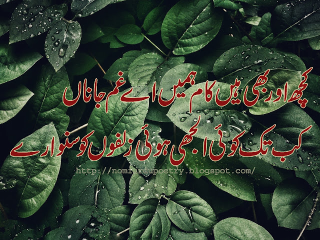  Best Heart Touching Urdu Poetry In 2020 || Nomi Urdu Poetry 