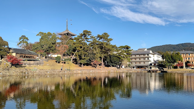 奈良公園  紅葉