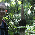 Amorphophallus Gigas Jungle Trekking Ketambe | Ketambe Adventure 