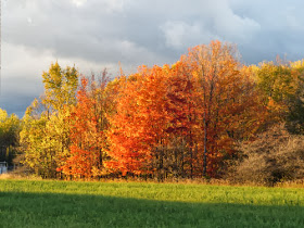 fall colors