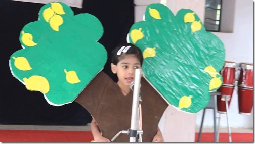 disfraz de arbol (11)