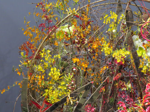 Philadelphia Flower Show 2019 - yellow