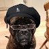 Samuel L. Jackson Dog