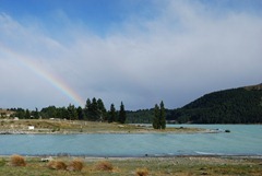 T - Lake Pukaki to Christchurc (8)
